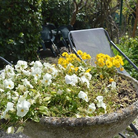 Il Giardino Nel Parco R&B Otel Bolonya Dış mekan fotoğraf