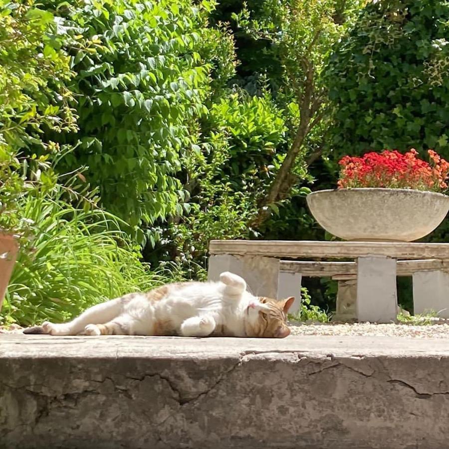 Il Giardino Nel Parco R&B Otel Bolonya Dış mekan fotoğraf