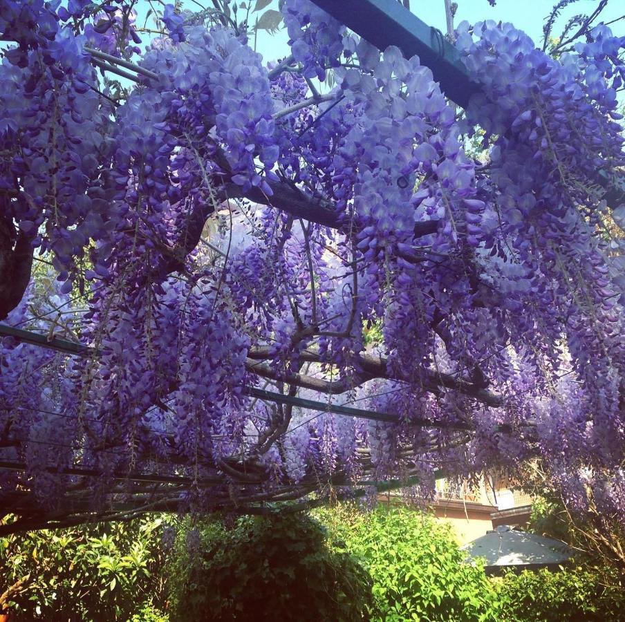 Il Giardino Nel Parco R&B Otel Bolonya Dış mekan fotoğraf